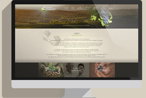 Webdesign site viticole